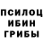 Псилоцибиновые грибы Cubensis Polza Betcherzoids