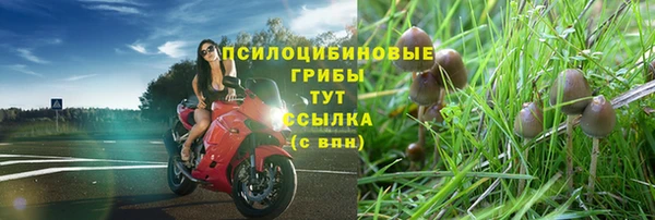 mix Лагань