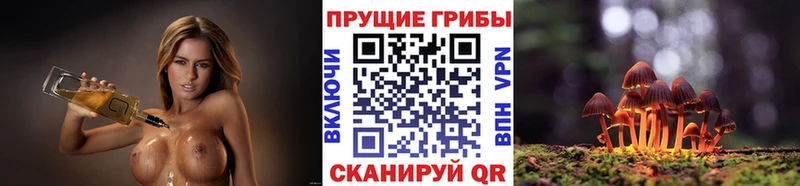Псилоцибиновые грибы Psilocybe  цены   Любим 